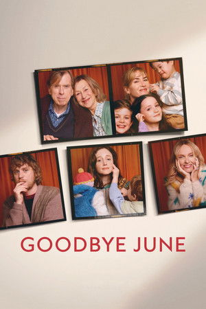 Goodbye June 2025 NF Dual Audio Hindi