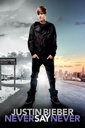 Justin Bieber: Never Say Never 2011 Dual Audio NF