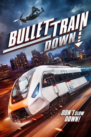Bullet Train Down 2022 Dual Audio