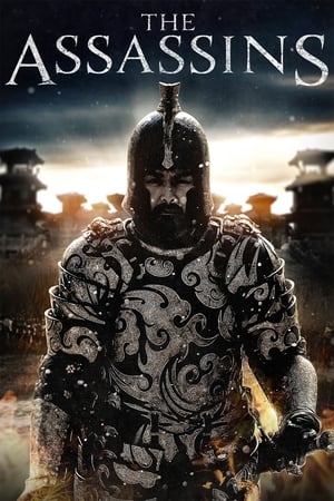 The Assassins 2012 Dual Audio