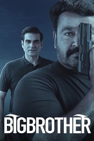 Big Brother 2020 BRRIp