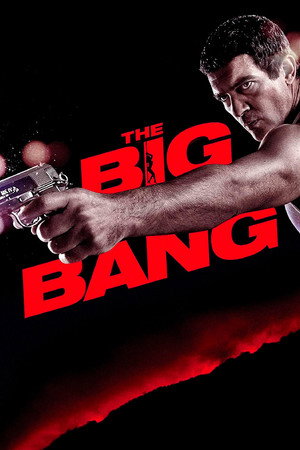 The Big Bang 2010 Dual Audio Hindi
