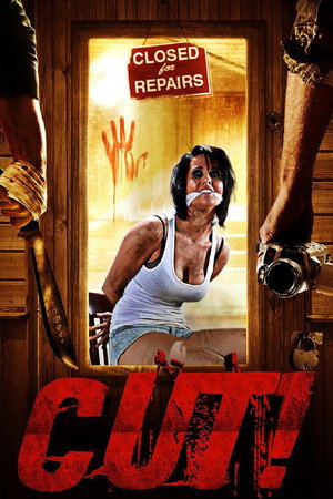 Cut! 2014 Dual Audio Hindi