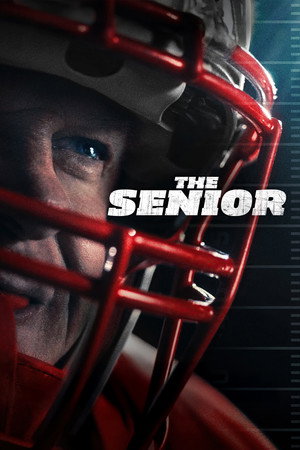 The Senior 2026 AMZN Dual Audio Hindi