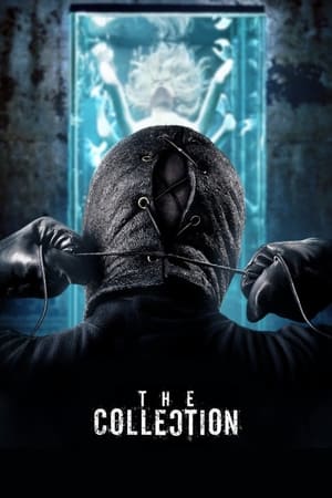 The Collection 2012 Dual Audio