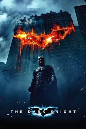 The Dark Knight 2008 Dual Audio