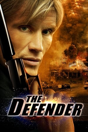 The Defender 2004 Dual Audio