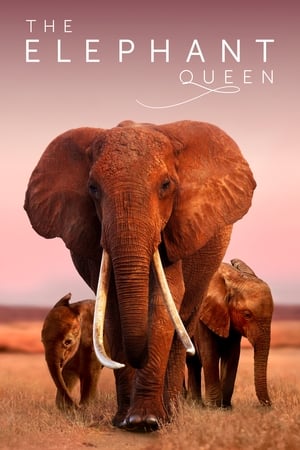 The Elephant Queen 2019 Dual Audio
