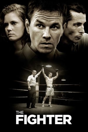 The Fighter 2010 Dual Audio