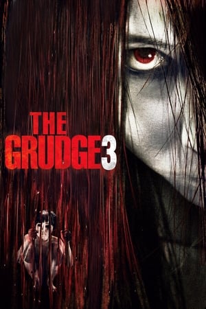 The Grudge 3 2009 Dual Audio