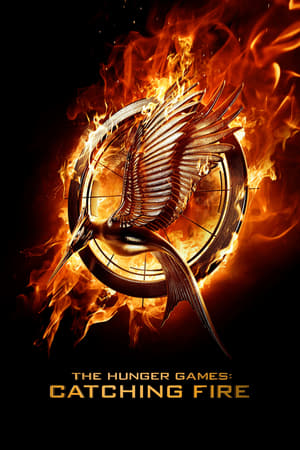The Hunger Games: Catching Fire 2013 Dual Audio