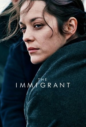 The Immigrant 2013 Dual Audio