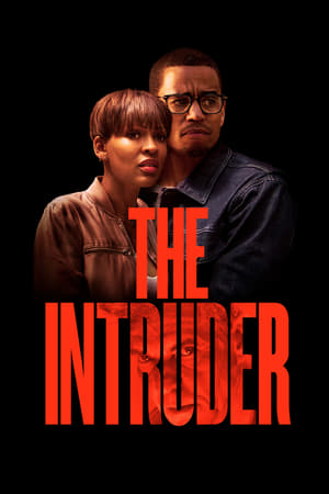 The Intruder 2019 Dual Audio