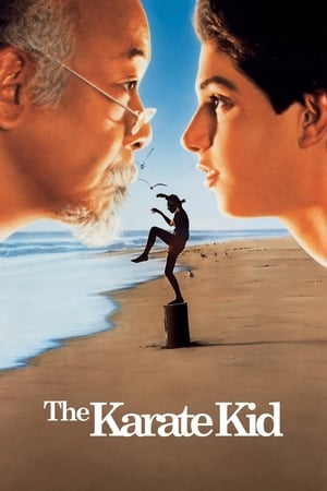 The Karate Kid 1984 Dual Audio