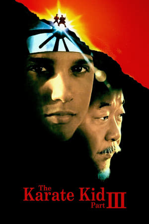 The Karate Kid Part III 1989 Dual Audio
