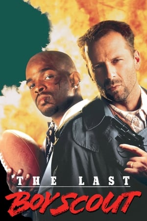 The Last Boy Scout 1991 Dual Audio