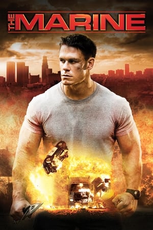 The Marine 2006 Dual Audio