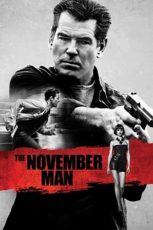 The November Man 2014 Dual Audio