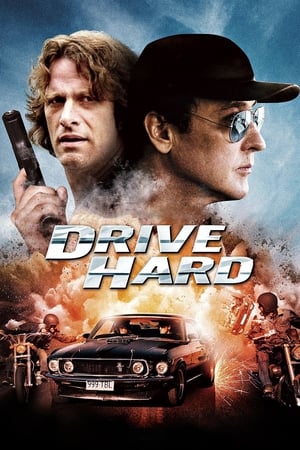 Drive Hard 2015 Dual Audio