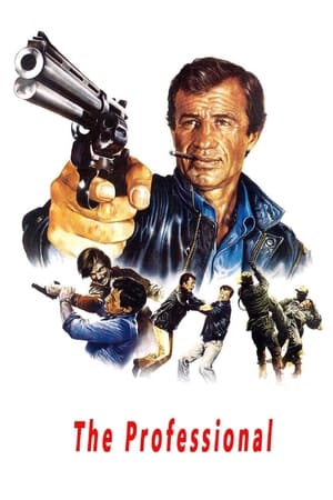 The Professional 1981 Dual Audio
