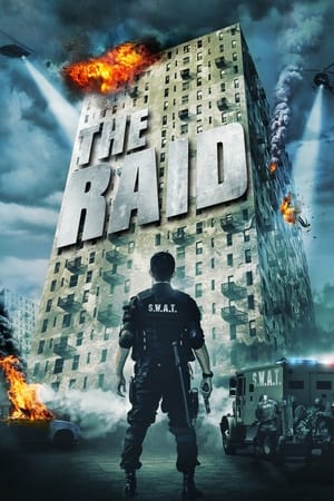 The Raid 2011 Dual Audio