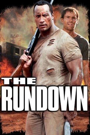 The Rundown 2003 Dual Audio