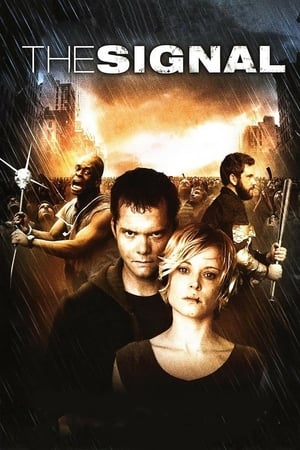 The Signal 2008 Dual Audio