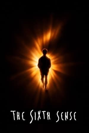 The Sixth Sense 1999 dual Audio