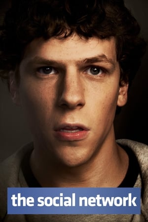 The Social Network 2010 Dual Audio