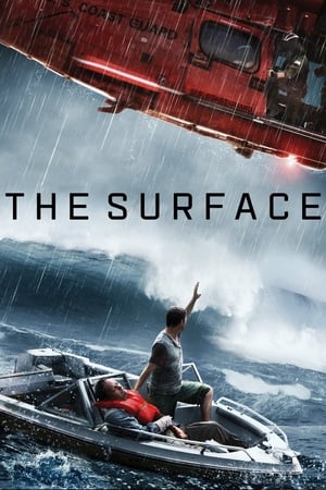 The Surface 2014 Dual Audio