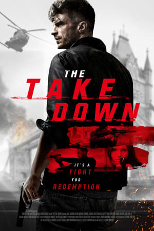 The Take Down 2017 Dual Audio