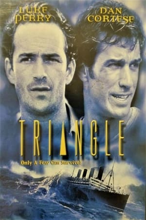 The Triangle 2001 Dual Audio