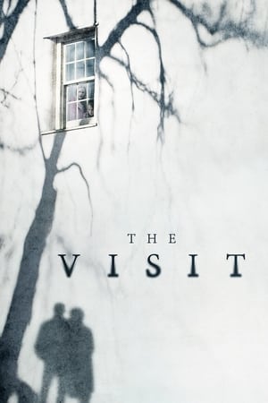 The Visit 2015 Dual Audio