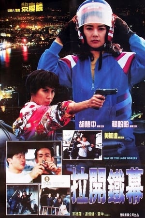 The Way Of The Lady Boxers 1992 Dual Audio