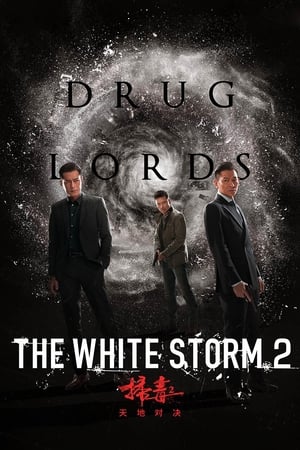 The White Storm 2: Drug Lords 2019 Dual Audio