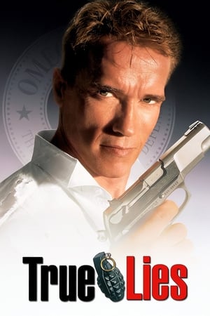 True Lies 1994 Dual Audio