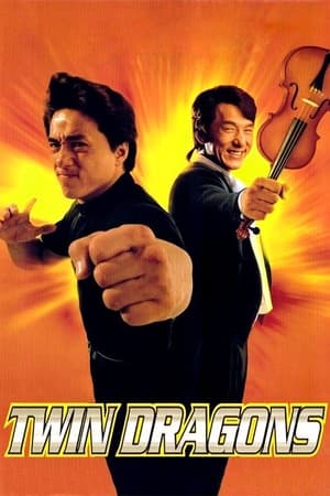 Twin Dragons 1992 Dual Audio