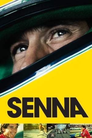Senna 2010 Dual Audio