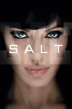 Salt 2010 Dual Audio