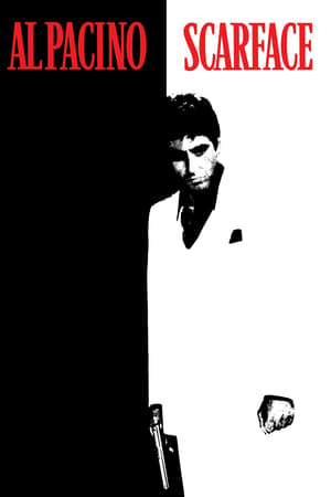 Scarface 1983 Dual Audio