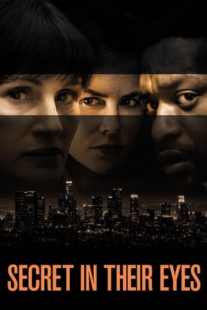 Secret in Their Eyes 2015 Dual Audio