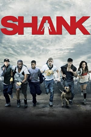 Shank 2010 Dual Audio