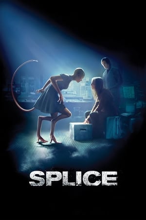 Splice 2009 Dual Audio