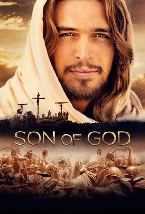 Son of God 2014 Dual Audio