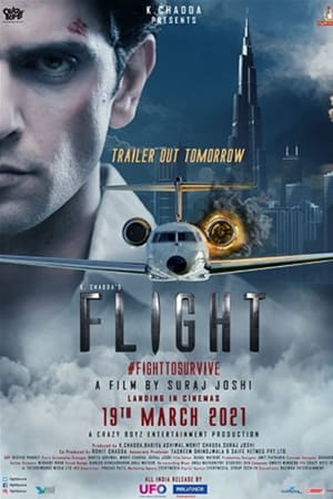 Flight 2021 BRRIp