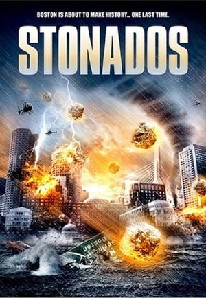 Stonados 2013 dual Audio