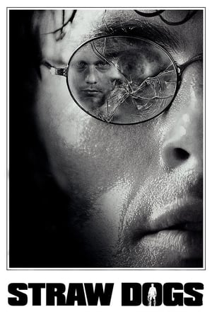 Straw Dogs 2011 dual Audio