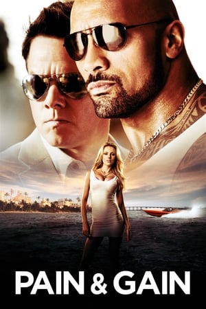 Pain & Gain 2013 Dual Audio