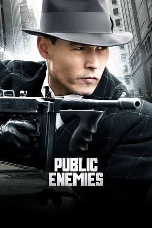 Public Enemies 2009 Dual Audio