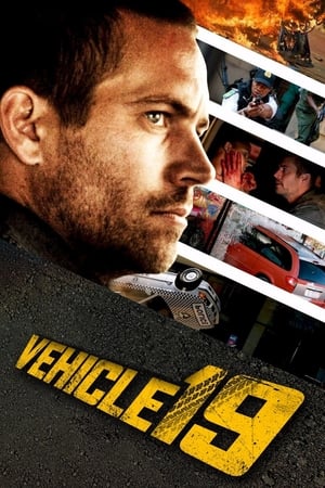 Vehicle 19 2013 Dual Audio